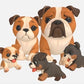 From Photo to Figurine: Your Custom 3D pet