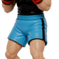 NES Mike Tyson's Punch-Out 4” stylized resin figure NINTENDO